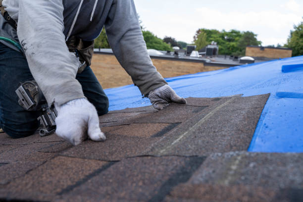 Best Roof Gutter Cleaning  in Los Alamos, CA